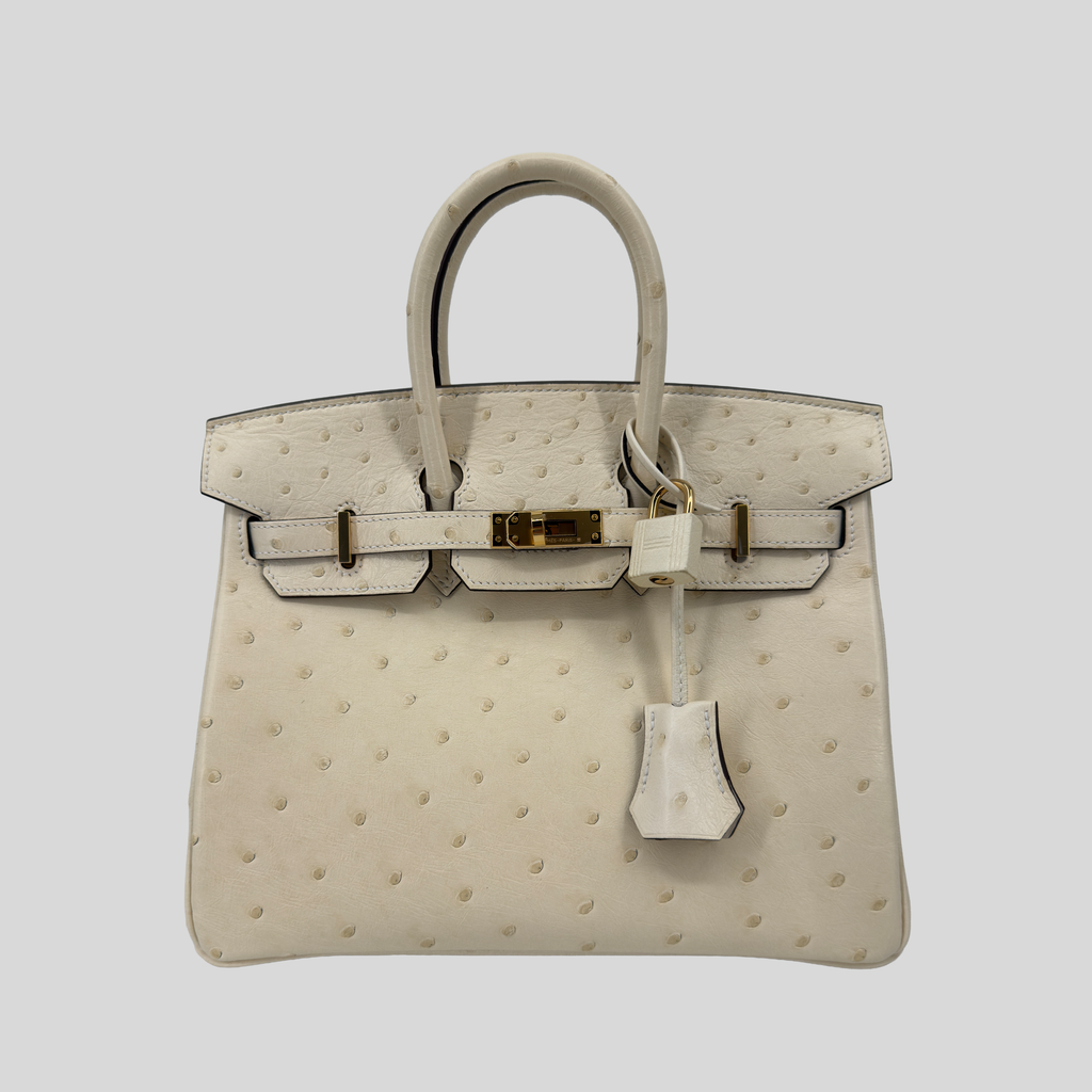 Hermès Birkin 25 Nata Ostrich Gold Hardware