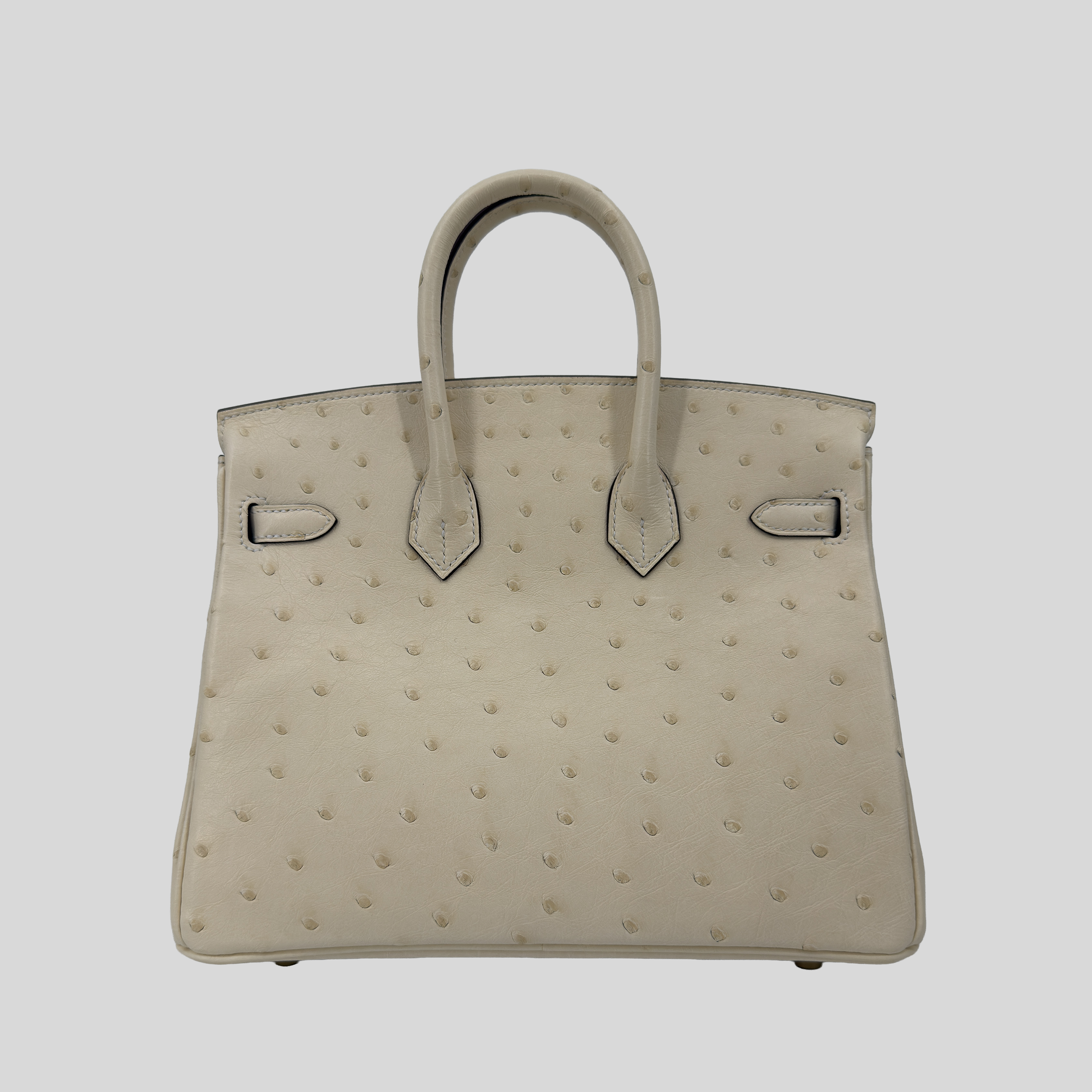 Hermès Birkin 25 Nata Ostrich Gold Hardware