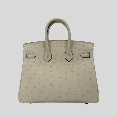 Hermès Birkin 25 Nata Ostrich Gold Hardware