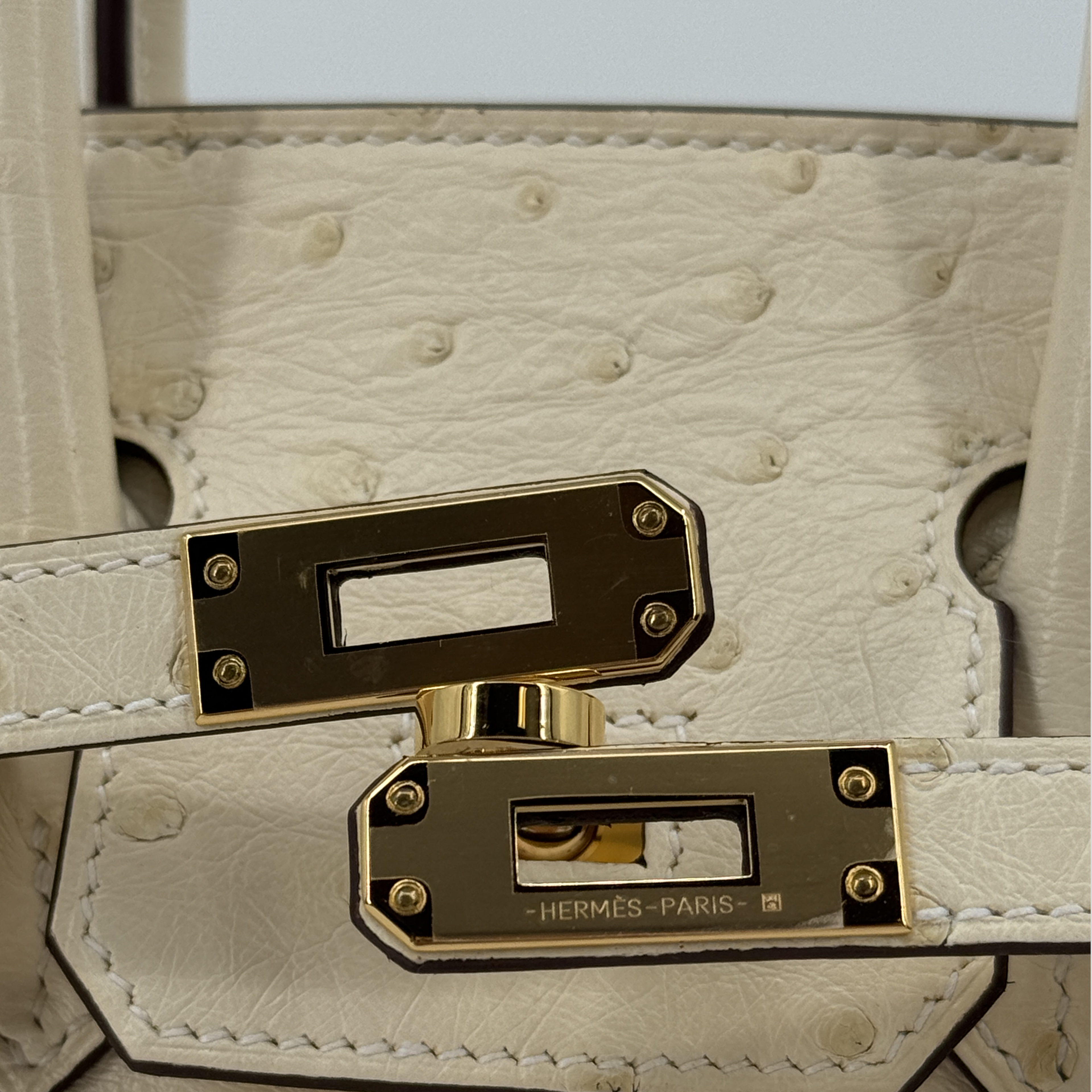 Hermès Birkin 25 Nata Ostrich Gold Hardware
