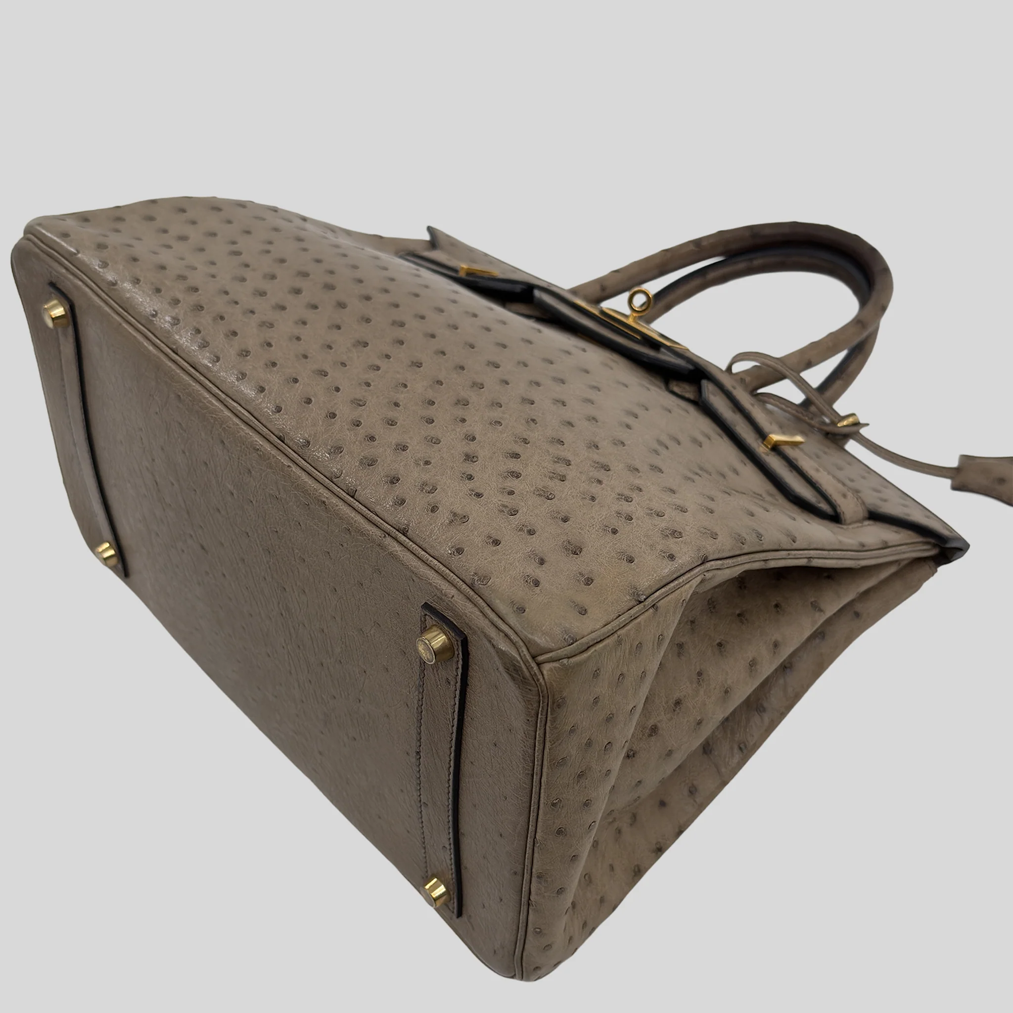 Hermès Birkin 35 Mousse Ostrich Gold Hardware