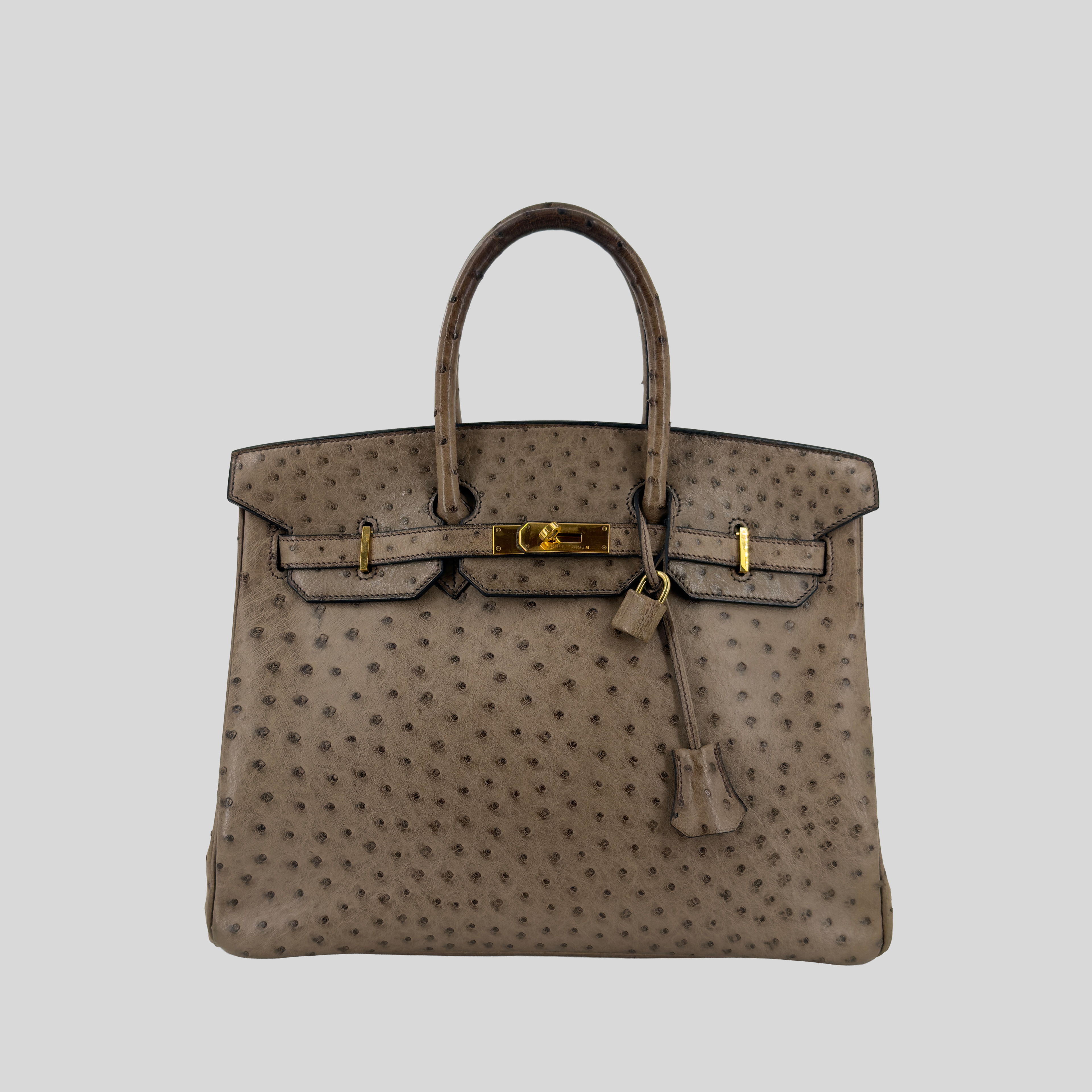 Hermès Birkin 35 Mousse Ostrich Gold Hardware