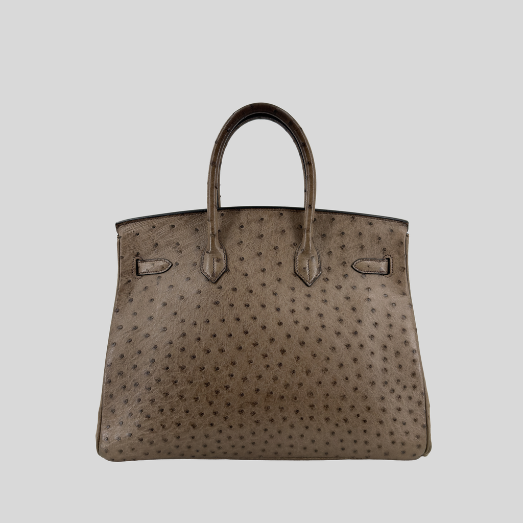 Hermès Birkin 35 Mousse Ostrich Gold Hardware