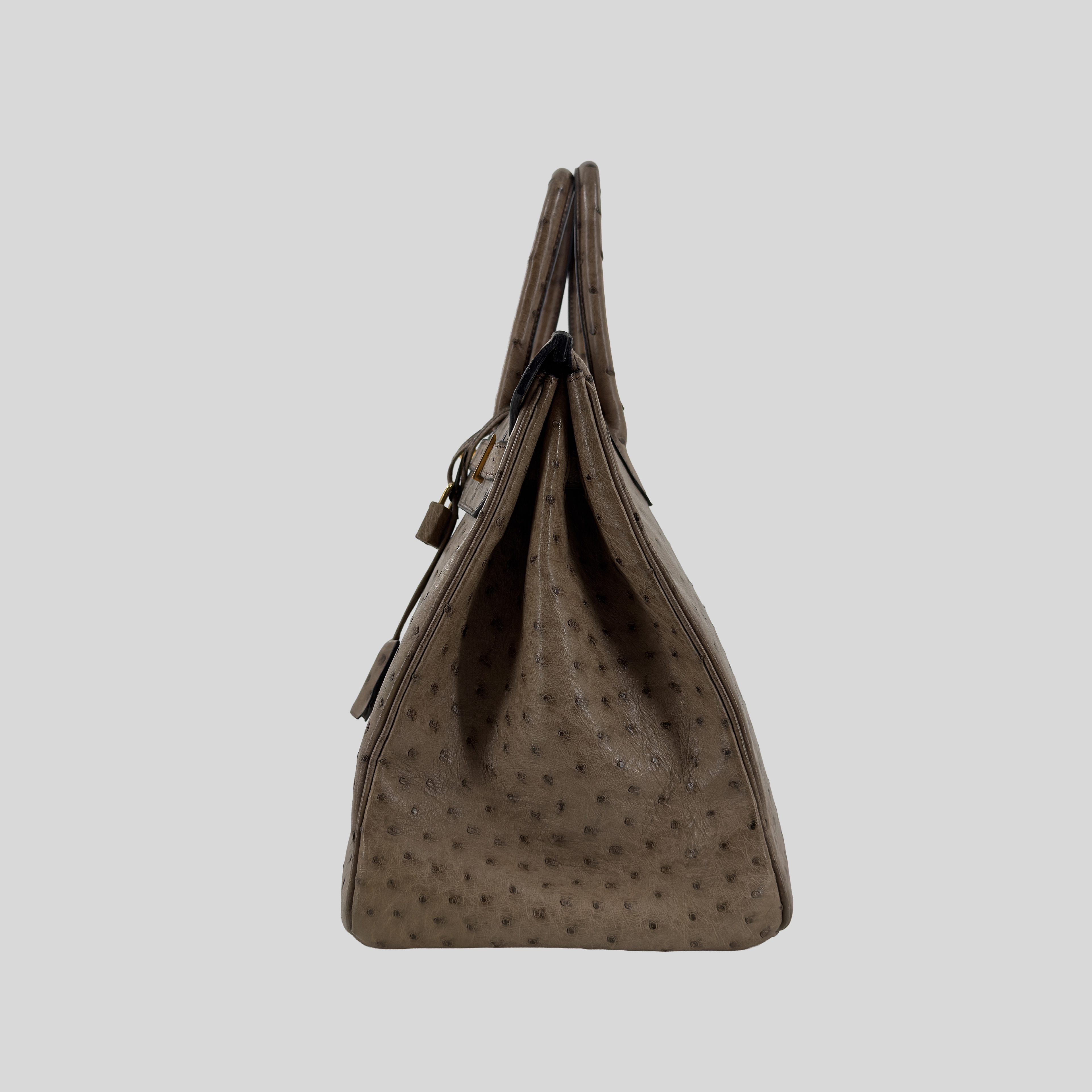 Hermès Birkin 35 Mousse Ostrich Gold Hardware