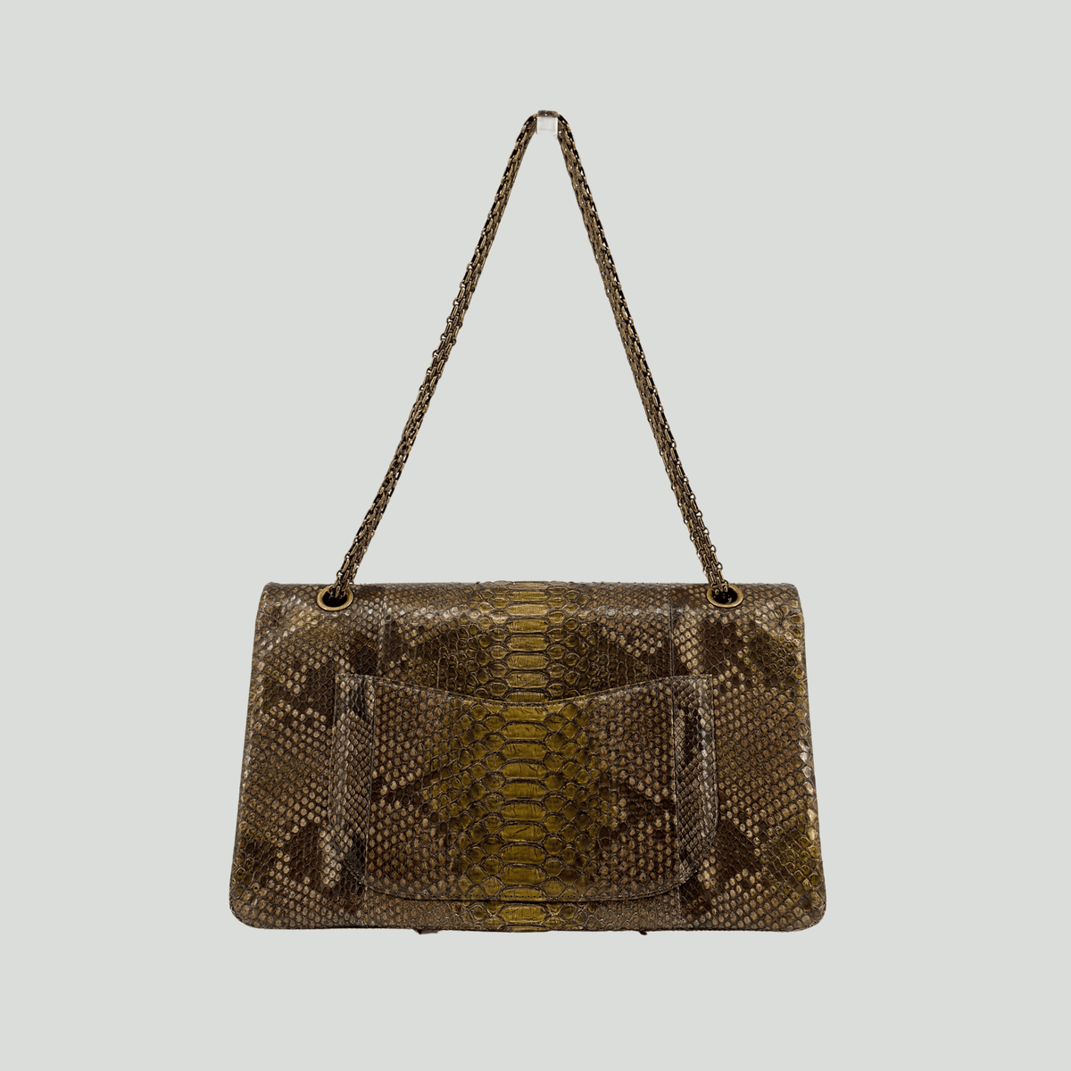 CHANEL Python Reissue Double Flap Jumbo Bronze Multicolor Aged Gold Hardware