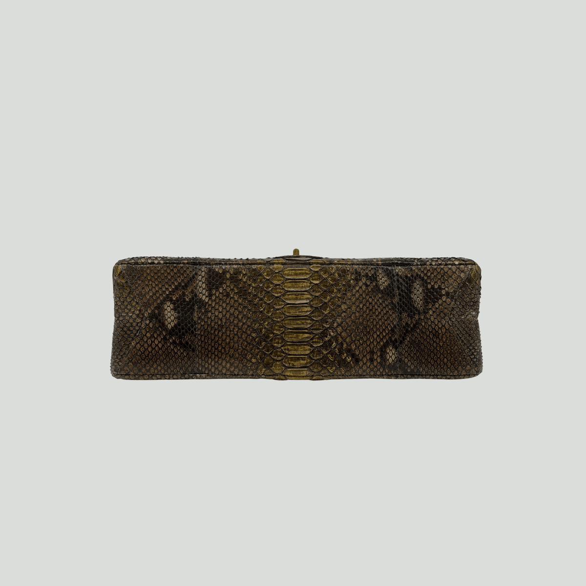 CHANEL Python Reissue Double Flap Jumbo Bronze Multicolor Aged Gold Hardware