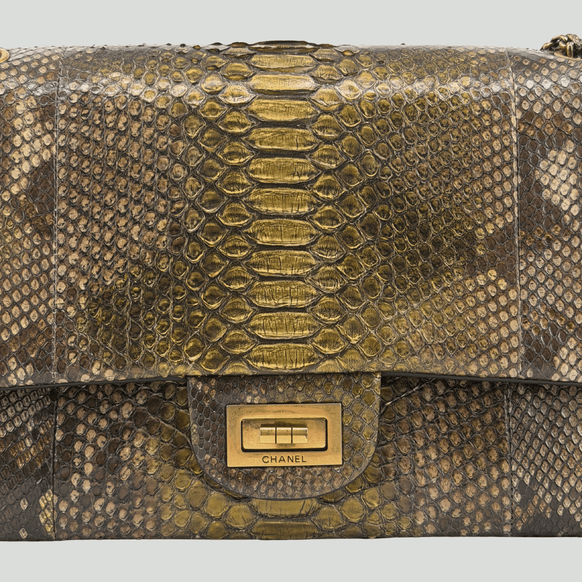 CHANEL Python Reissue Double Flap Jumbo Bronze Multicolor Aged Gold Hardware