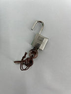 Hermès Picotin Cargo Lock 18 Vert Comics Toile and Vert Fizz Swift Leather Palladium Hardware
