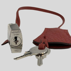 Hermès Constance To Go Framboise Epsom Lizard Buckle Palladium Hardware | Randolph Goods