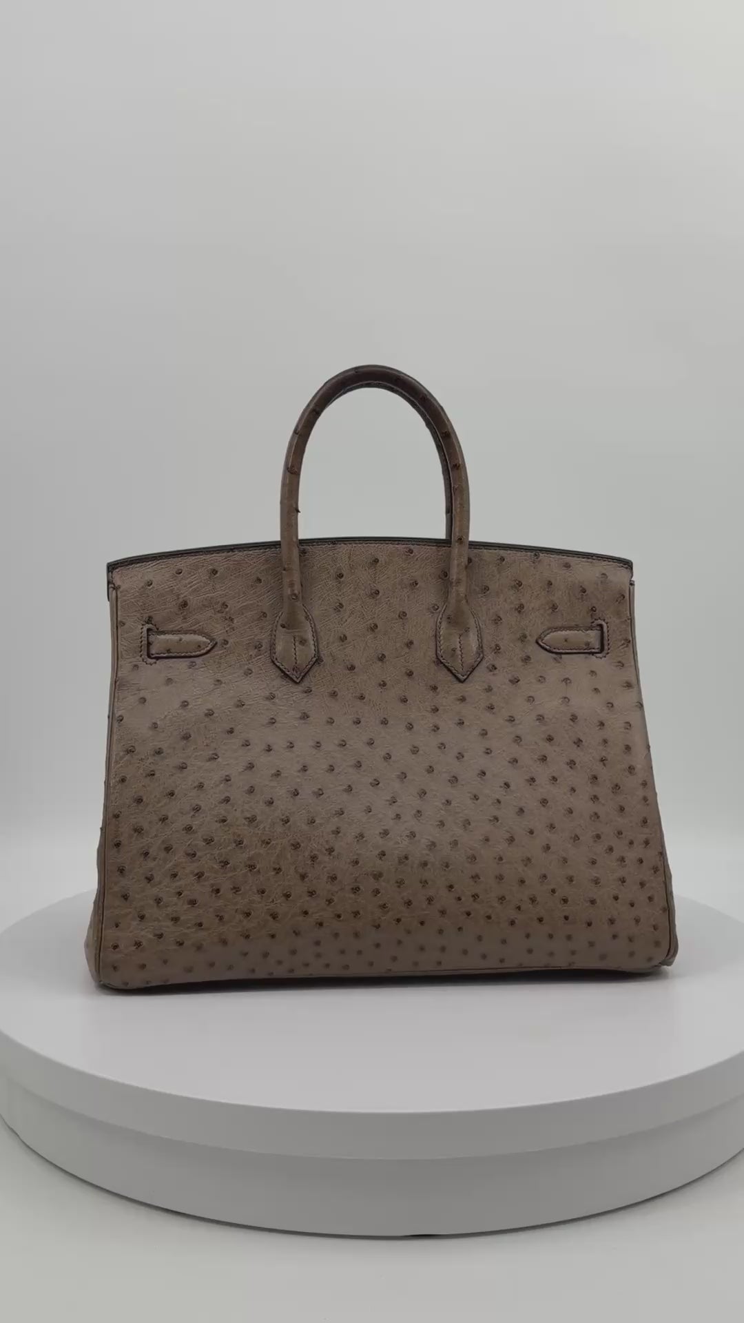 Hermès Birkin 35 Mousse Ostrich Gold Hardware