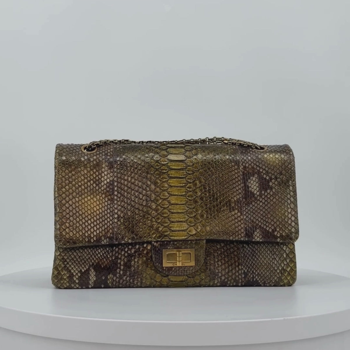CHANEL Python Reissue Double Flap Jumbo Bronze Multicolor Aged Gold Hardware